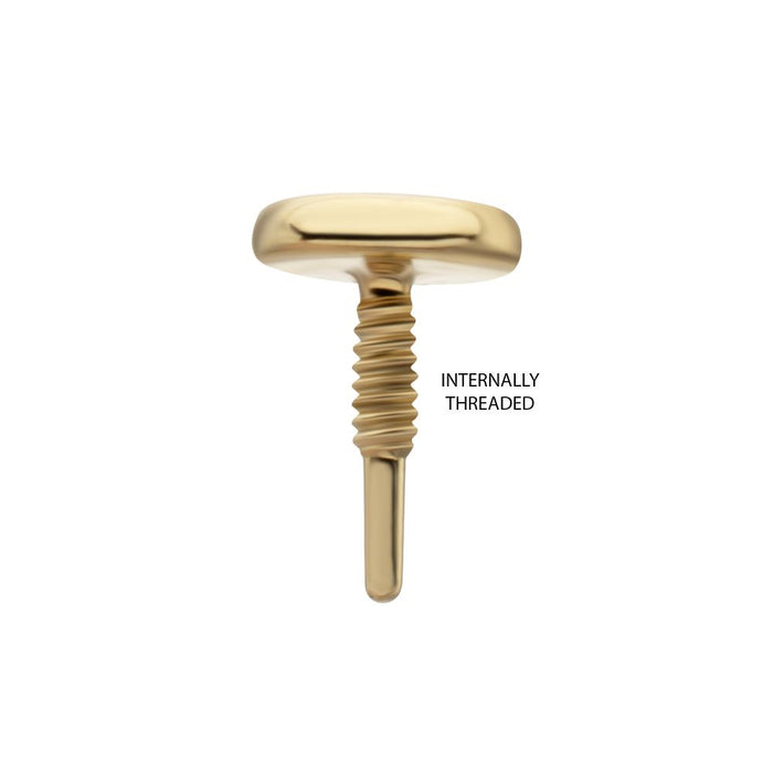 Invictus 14Kt Yellow Gold M0.8 Internally Threaded Disc Top