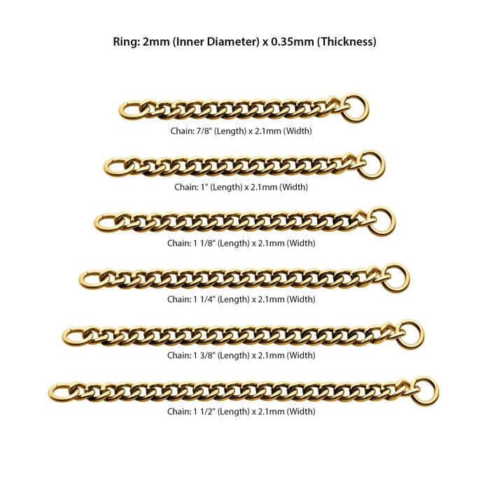 Invictus 24Kt Gold PVD Titanium 2.1mm Curb Chain with 2 Rings