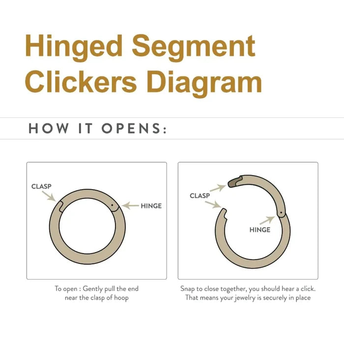 Invictus Titanium Clustered Beads with 7 Bezel Round CZ Front Facing Hinged Segment Clicker