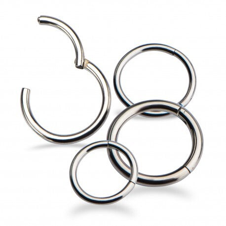Invictus Titanium Hinged Segment Ring